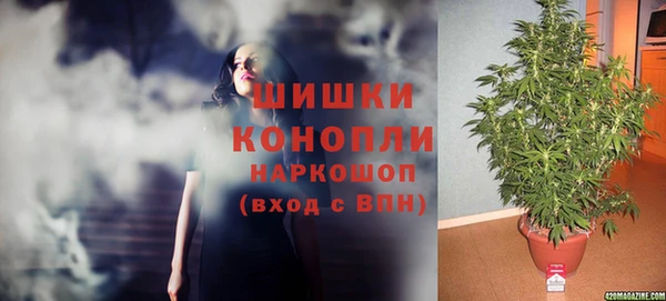 МДПВ Чекалин