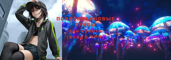 индика Шали