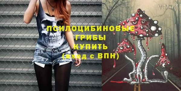 индика Шали