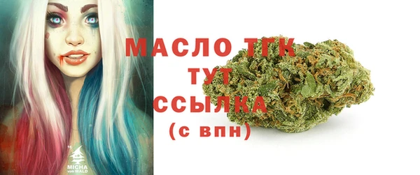 МДПВ Чекалин
