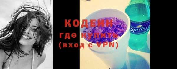 индика Шали