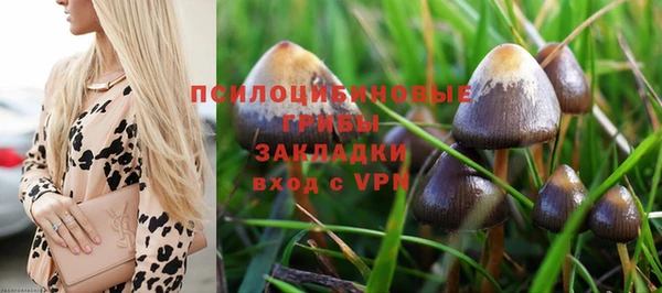 МДПВ Чекалин
