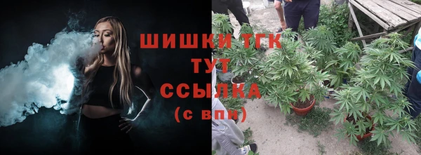 индика Шали