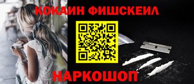 индика Кингисепп