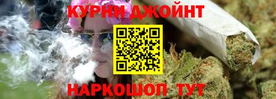 индика Кингисепп