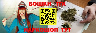 индика Кингисепп