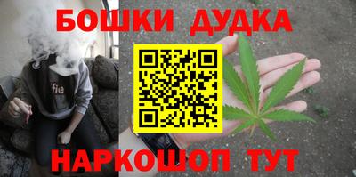 индика Кингисепп