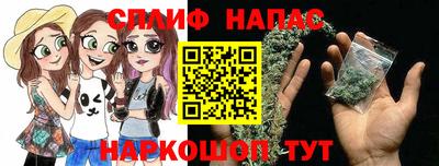индика Кингисепп