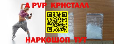 индика Кингисепп
