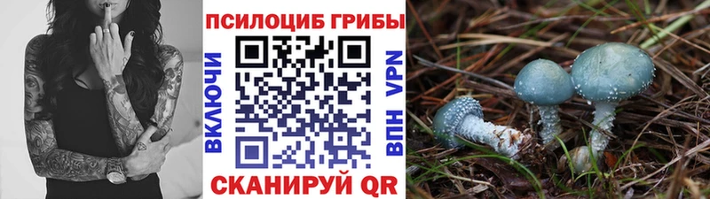 Галлюциногенные грибы MAGIC MUSHROOMS  Балашов 