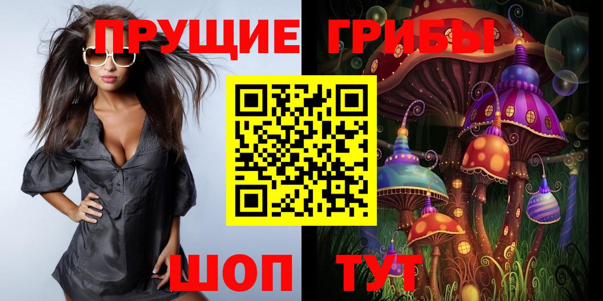 продажа наркотиков  Балашов  Псилоцибиновые грибы Psilocybine cubensis 