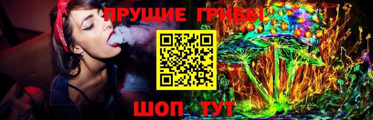 Галлюциногенные грибы Cubensis Балашов