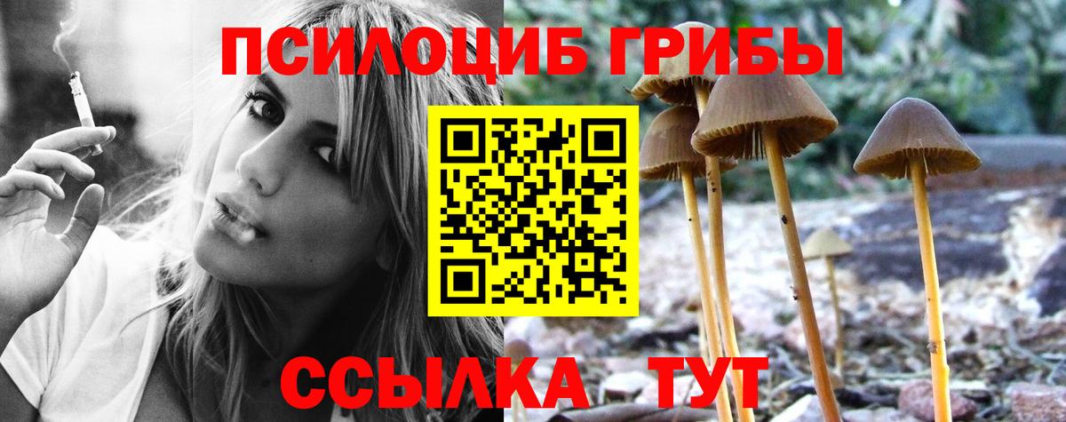 Псилоцибиновые грибы MAGIC MUSHROOMS  Вход с VPN  Балашов 